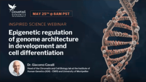 Biotech webinar Epigenetic Regulation of Genome Architecture in Development and Cell Differentiation