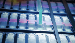 Biotech Webinar Using Multiplex Assays and Image Analysis to Discover New Insights in the Tumor Microenvironment