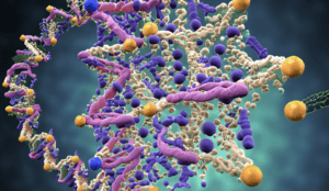 Biotech webinar Epigenetic Regulation of Genome Architecture in Development and Cell Differentiation